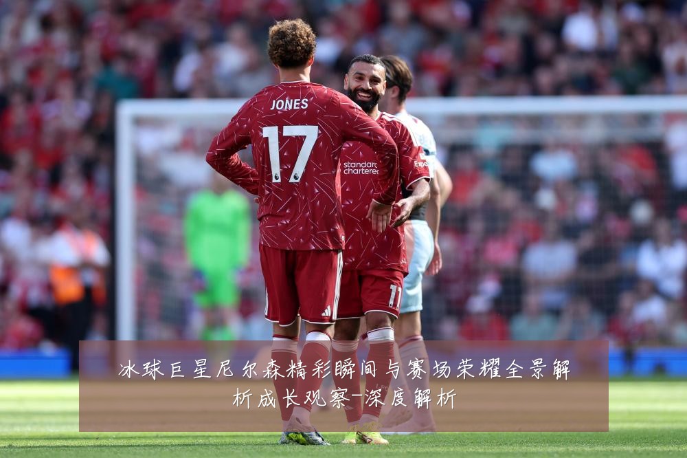 冰球巨星尼尔森精彩瞬间与赛场荣耀全景解析成长观察-深度解析